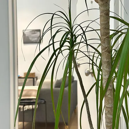 公寓 Corunaflat - Centro 拉科鲁尼亚